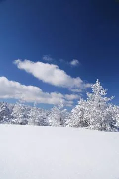Winter Weather Stock Photos