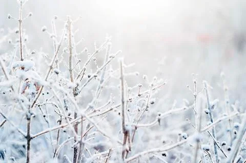 Winter Weather Stock Photos