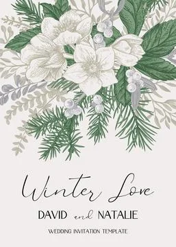 Winter wedding delicate  invitation. 库存插图