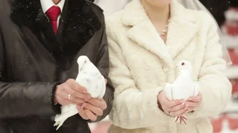 Winter wedding Vídeos de archivo 22247655