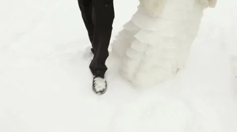 Winter wedding 스톡 동영상 22247713