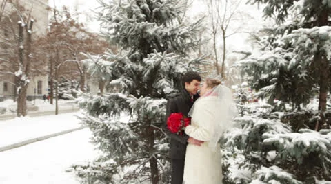 Winter wedding 스톡 동영상 22524793