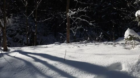 Winter well-being 스톡 동영상 331659037