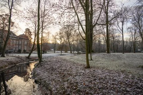 Winter in westphalia Stock Photos