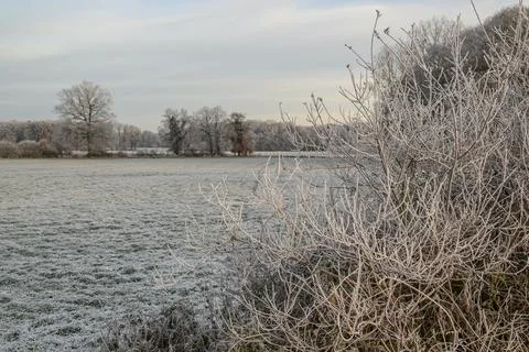 Winter in westphalia Stock Photos