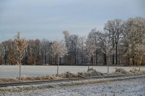 Winter in westphalia Stock Photos