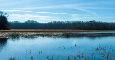 Winter Wetlands Scene 스톡 동영상 101177339