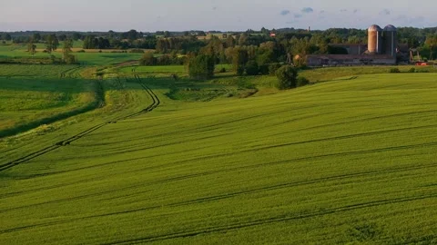 Winter wheat field in Latvia Stock Footage 320816966
