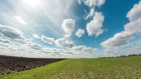 Winter wheat field in spring. Clouds over agricultural land Stock Footage 151609816
