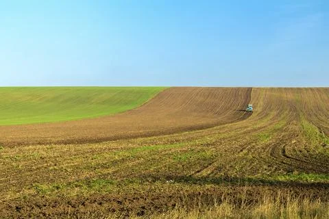 Winter wheat field with a tractor working on it in the fall under the clear blue Stock Photos