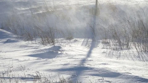 Winter Wheat Fields Stock Footage 79469387