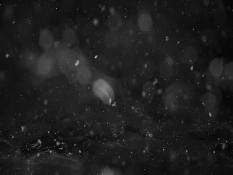 Winter White Motion background lights, snow falling on ice defocused bokeh loop Stock Footage 82431812