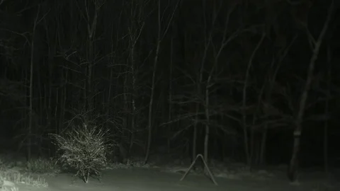 Winter Whiteout Blizzard in Gloucester, Mass, Time Lapse Stock Footage 89779188