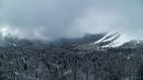 Winter wild Forest Clouds  time lapse Stock-Footage 83706162