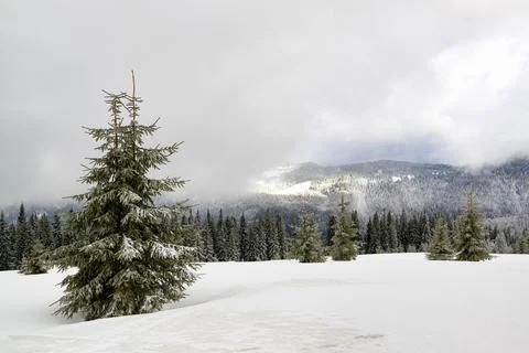 Winter in wild mountains Stockfoto's