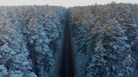 Winter wild road. Aerial drone view Vídeo Stock 317543297