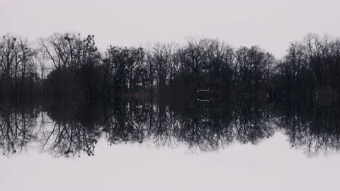 Winter in the wilderness, empty, minimalistic landscape, cold day. Stock Footage 148481154