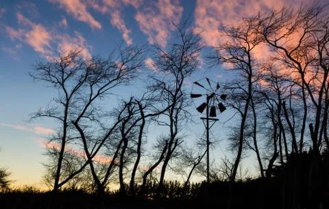 Winter wind dawn Stock Photos