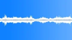 Winter Wind in the forestSound Effect