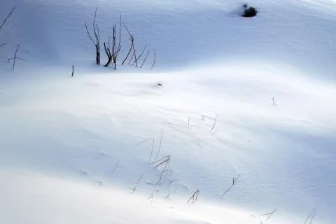 Winter wind Stock Photos