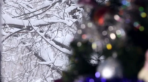 Winter window amid  Christmas tree Stock Footage 59685220