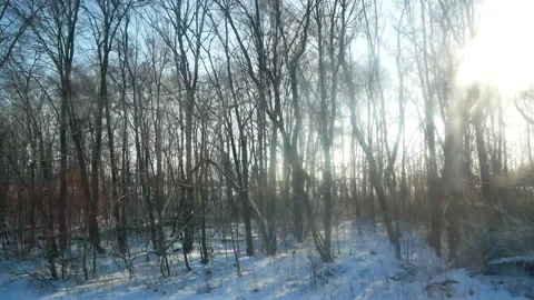 Winter window bus moving Video stock 85730258