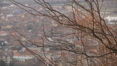 Winter windy day Stock Footage 102278264
