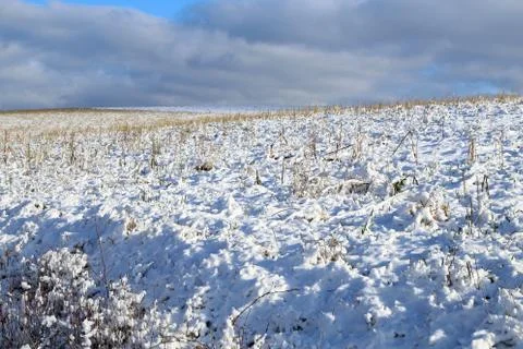 Winter. Winter field under cloudy gray sky. Stock Photos