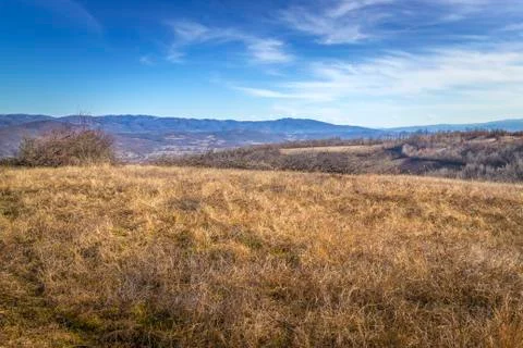 Winter without snow Foto stock