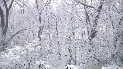 Winter Wonderland - 1 Stock Footage 30441217