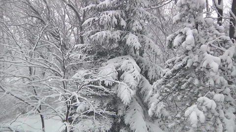 Winter Wonderland - 2 Stock Footage 30590933