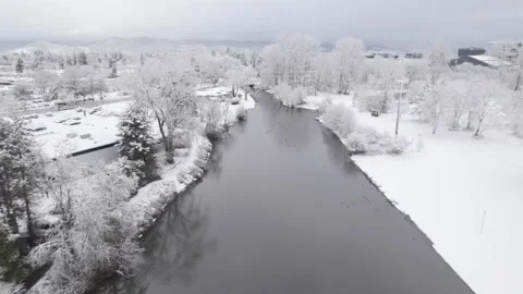 Winter Wonderland 2 库存影片 206735911
