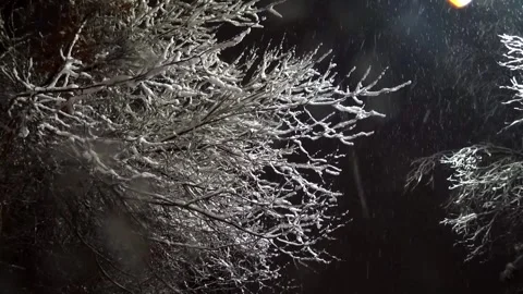 A winter wonderland captures trees burdened with snow, stock footage. Stock Footage 304817086