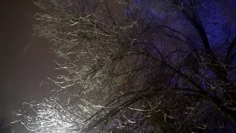 A winter wonderland captures trees weighed down by snow, stock footage. 스톡 동영상 304817092