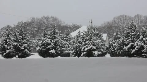 Winter Wonderland Stock Footage 61191747