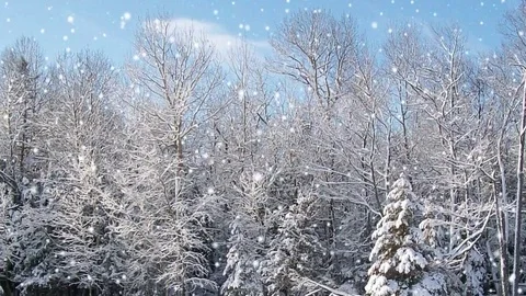 Winter Wonderland Stock Footage 81141252