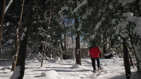 Winter Wonderland Stockbeeldmateriaal 86887368