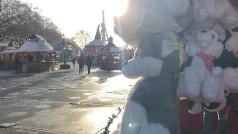 WINTER WONDERLAND Stock Footage 135652290