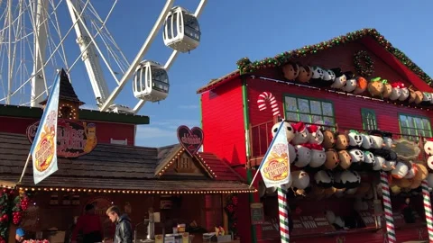 WINTER WONDERLAND Stock Footage 135652335