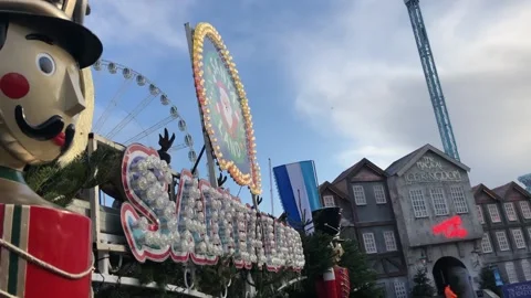 WINTER WONDERLAND Stock Footage 135652589