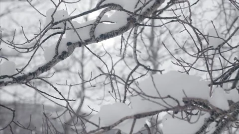 Winter wonderland. Stock Footage 159722585
