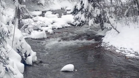 Winter wonderland. Stock Footage 159722603