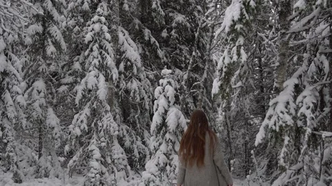 Winter Wonderland Video stock 247433131