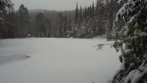 Winter wonderland forest Stock Footage 147264920