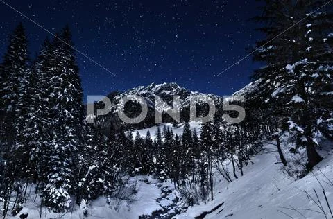 Winter Wonderland Stock Photos