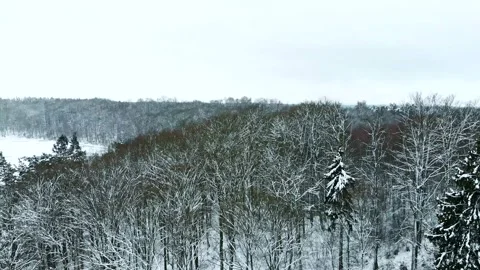Winter wood Stock Footage 146615180