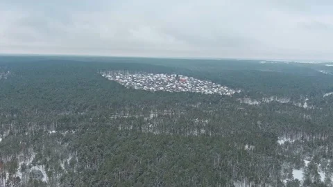 Winter wood Stock Footage 169819206