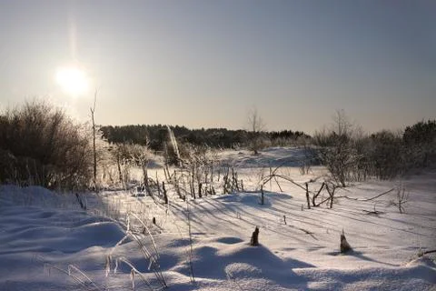 Winter wood Foto stock