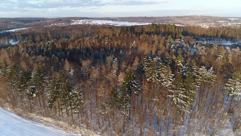 Winter woods from above. Video stock 102051837
