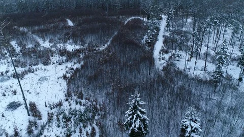 Winter woods from above. Video stock 102052481
